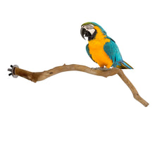 Load image into Gallery viewer, Natural Wood Pet Parrot Raw Wood Fork Branch Perches Stand Rack Mouth Grinding Claw Grinding Stick For Birds Squirrel Small Pet Supplies
