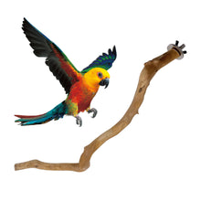 Load image into Gallery viewer, Natural Wood Pet Parrot Raw Wood Fork Branch Perches Stand Rack Mouth Grinding Claw Grinding Stick For Birds Squirrel Small Pet Supplies
