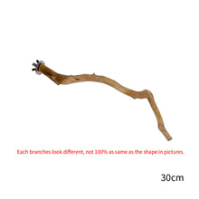 Load image into Gallery viewer, Natural Wood Pet Parrot Raw Wood Fork Branch Perches Stand Rack Mouth Grinding Claw Grinding Stick For Birds Squirrel Small Pet Supplies
