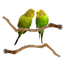 Load image into Gallery viewer, Natural Wood Pet Parrot Raw Wood Fork Branch Perches Stand Rack Mouth Grinding Claw Grinding Stick For Birds Squirrel Small Pet Supplies
