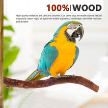 Load image into Gallery viewer, Natural Wood Pet Parrot Raw Wood Fork Branch Perches Stand Rack Mouth Grinding Claw Grinding Stick For Birds Squirrel Small Pet Supplies
