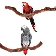 Load image into Gallery viewer, Natural Wood Pet Parrot Raw Wood Fork Branch Perches Stand Rack Mouth Grinding Claw Grinding Stick For Birds Squirrel Small Pet Supplies
