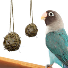 Load image into Gallery viewer, Rattan Balls Parrot Toys Interactive Parrot Chewing Bite Toy Foot Scratching Toy Birds Training Toy for Parakeet Budgie Bird Supplies
