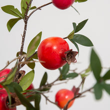 Load image into Gallery viewer, Artificial Floral Branch Pomegranate 5/6 Fruits Fake Flowers Artificial Plant Decorative Flowers Home Decor Wedding Decoration Photo Props
