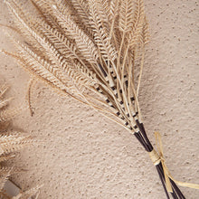 Load image into Gallery viewer, Rabbit Tail Grass Artificial Flowers For Wedding Party DIY Craft Bouquet Wheat Ear Flower Decoration Rabbit Tail Grass
