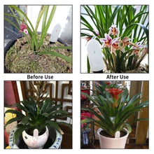 Load image into Gallery viewer, Soil Moisture Sensor Monitor Plants Flower Soil Hygrometer Plant Detector Garden Care Planting Humidity Meter
