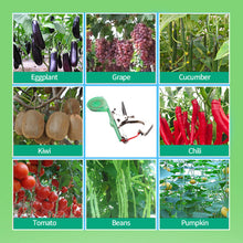 Load image into Gallery viewer, Tying Machine Plant Garden Plant Tapetool Tapener Rolls Tape Set for Vegetable Grape Tomato Cucumber Pepper Flower
