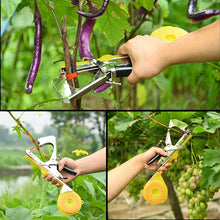 Load image into Gallery viewer, 23m/Roll Green PVC Plant Ties Garden Twine Plant Ties Plant Bandage Garden Hook Loop Bamboo Cane Wrap Support Accessories
