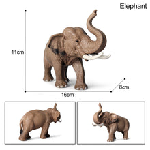 Load image into Gallery viewer, Simulation Forest Animal Garden African Lion Black Tiger Tiger Koala Deer Elephant Model Collectible Model
