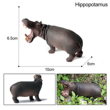 Load image into Gallery viewer, Simulation Forest Animal Garden African Lion Black Tiger Tiger Koala Deer Elephant Model Collectible Model
