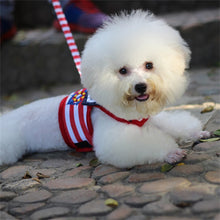 Load image into Gallery viewer, Navy Style Pet Dog Clothes Soft Breathable Leash Set for Small Medium Dogs Chihuahua Puppy Collar Cat Pet Dog Chest Strap Leash
