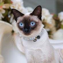 Load image into Gallery viewer, Adjustable Cat Collar with Bell Cartoon Necklace Candy Avocado Pendant Collar Pet Cat Accessories Four Seasons General Pets Supplies
