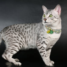 Load image into Gallery viewer, Adjustable Cat Collar with Bell Cartoon Necklace Candy Avocado Pendant Collar Pet Cat Accessories Four Seasons General Pets Supplies
