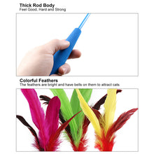 Load image into Gallery viewer, 11/14pcs Cat Teaser Wand with Replacement Pendant Pet Interactive Feather Toys Kitten Simulated Mouse Catching Toy Cats Daily Accessories
