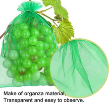 Load image into Gallery viewer, 20PCS Grape Fruit Protection Bags Garden Drawstring Netting Mesh Bags Anti-Bird For Plant Fruit Trees Organza Bags
