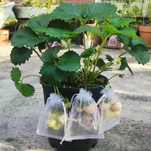 Load image into Gallery viewer, 20PCS Grape Fruit Protection Bags Garden Drawstring Netting Mesh Bags Anti-Bird For Plant Fruit Trees Organza Bags
