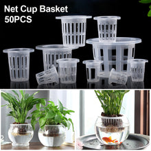 Load image into Gallery viewer, 50Pcs Hydroponic colonization Mesh Pot Net Cup Basket Hydroponic Aeroponic Planting Grow Clone Nursery Plant Soilless
