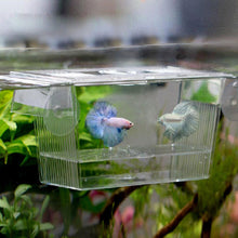 Load image into Gallery viewer, Double-Deck Clear Fish Breeding Isolation Box Aquarium Breeder Fish Tank Hatching Incubator Fish House Home
