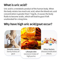 Load image into Gallery viewer, Portable Uric Acid Detector Household Dual-function Detector Accurate Test Uric Acid Test Paper Blood Glucose Test Strips
