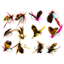 Load image into Gallery viewer, 12PCS/Set Bionic Fly Fishing Hair Needle Fly Hook Moth Butterfly Insect Style Feather Bait Fish Hook Fishing Gear Accessories
