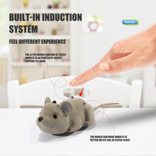 Load image into Gallery viewer, Wireless Electric Remote Control Rat Plush RC Mouse Toy Hot Flocking Simulation Toys Rat for Cat Dog Joke Scary Trick Toys
