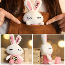 Load image into Gallery viewer, 1pc Love Rabbit Plush Toy Rabbits Stuffed Toys Key Chain Pendant Gifts for Children Kids Toy Wedding Gifts
