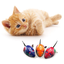 Load image into Gallery viewer, Creative Cat Toy Clockwork Spring Power Mouse Toy Motion Rat Cat Dog Playing Toy Pets Interactive Toys Pet Products
