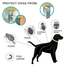 Load image into Gallery viewer, Retractable Pet Dog Antiparasitic Collar Dog Anti Flea Tick Collar For Small Large Dog Cat Lice Collars Deworming Collars Supplies
