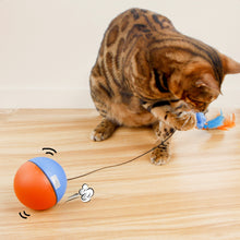 Load image into Gallery viewer, Cat Automatic Running Ball with Mouse Toy Pet Electric Rolling Ball Toys Kittern Self Playing Simulation Mouse Toy Moving Sumulated Rat Toy for Cat
