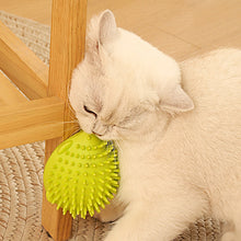 Load image into Gallery viewer, Cat Hedgehog Shpe Corner Brush with Teaser Wand Pet Massage Self Groomer Comb Brush Cat Rubs the Face with a Tickling Comb Cat Supplies

