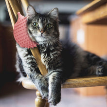 Load image into Gallery viewer, Cat Hedgehog Shpe Corner Brush with Teaser Wand Pet Massage Self Groomer Comb Brush Cat Rubs the Face with a Tickling Comb Cat Supplies

