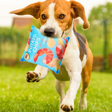 Load image into Gallery viewer, Dog Simulated Potota Chips Training Toy with Ringing Paper Pets Entertainment Stuffed Pillow Simulated Food Interactive Chewing Toys

